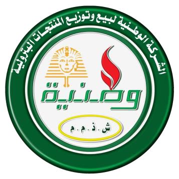 Sayin Egypt Breaks Ground on National Infrastructure Projects