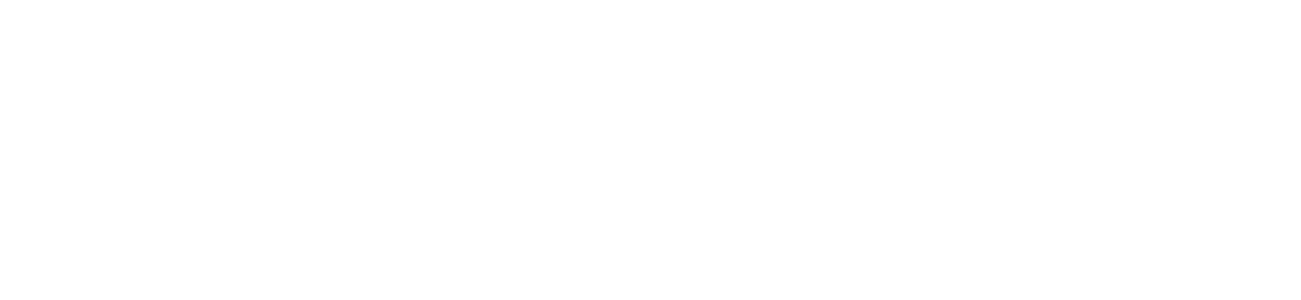 Alestesmaria Holding